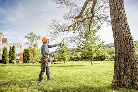 How Our Tree Care Process Works  in  Mint Hill, NC